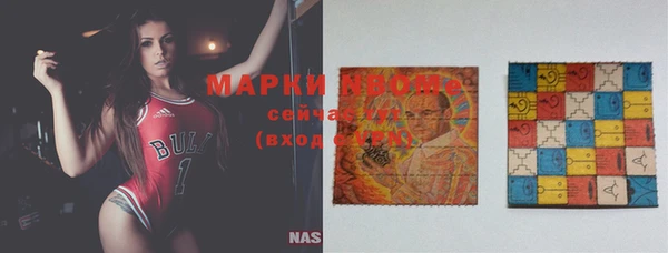 твердый Верхний Тагил