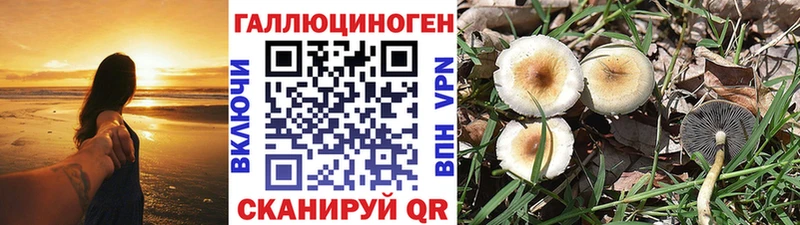 Псилоцибиновые грибы мухоморы  Пестово 